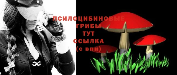 мет Козловка