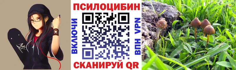 магазин  наркотиков  Павловский Посад  Галлюциногенные грибы ЛСД 